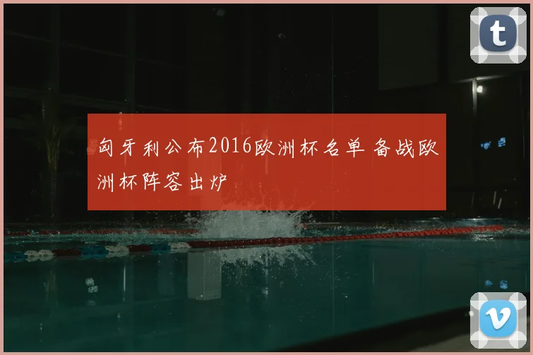 匈牙利公布2016欧洲杯名单 备战欧洲杯阵容出炉