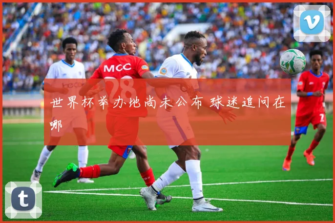 世界杯举办地尚未公布 球迷追问在哪