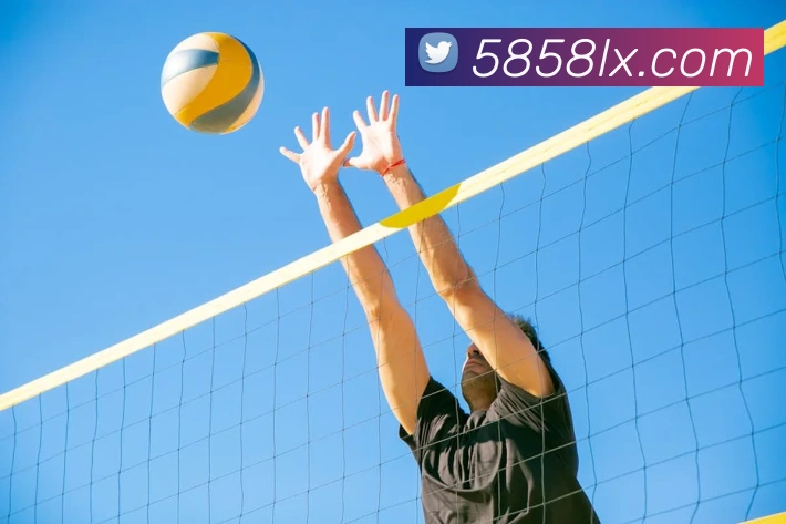 App Interface Preview