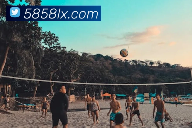 世界杯平台官网登录APP 封面图